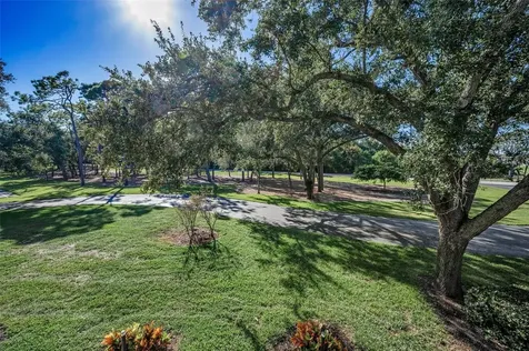 36750 Us Highway 19 Palm Harbor FL 34684