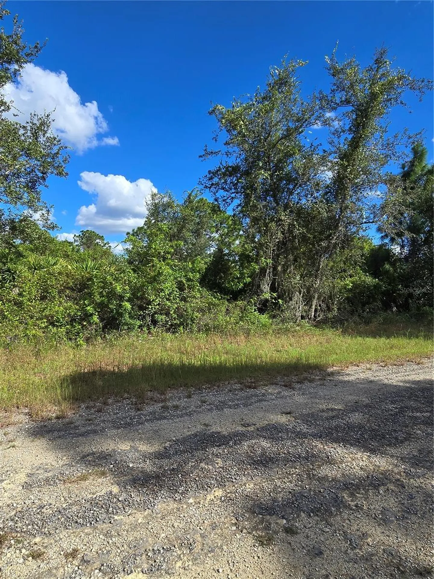 419 Wilder Avenue S Lehigh Acres FL 33974