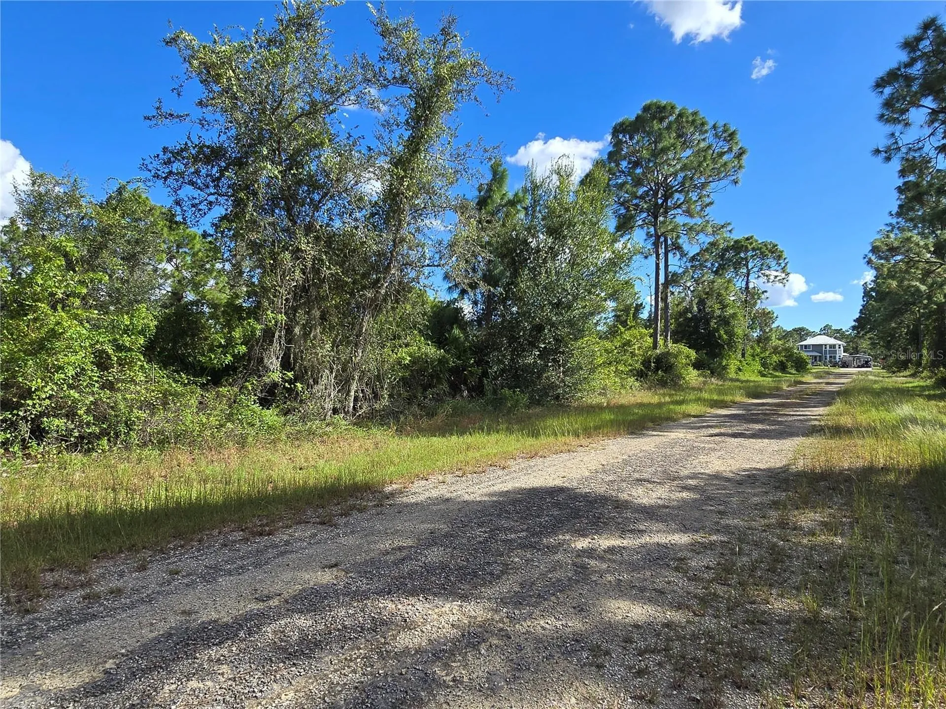419 Wilder Avenue S Lehigh Acres FL 33974