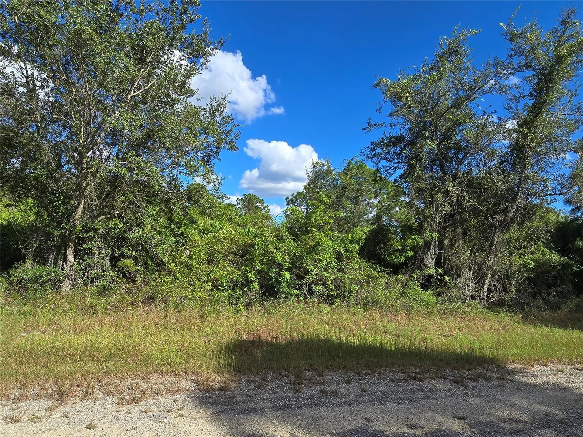 419 Wilder Avenue S Lehigh Acres FL 33974
