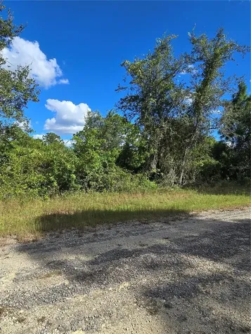 419 Wilder Avenue S Lehigh Acres FL 33974