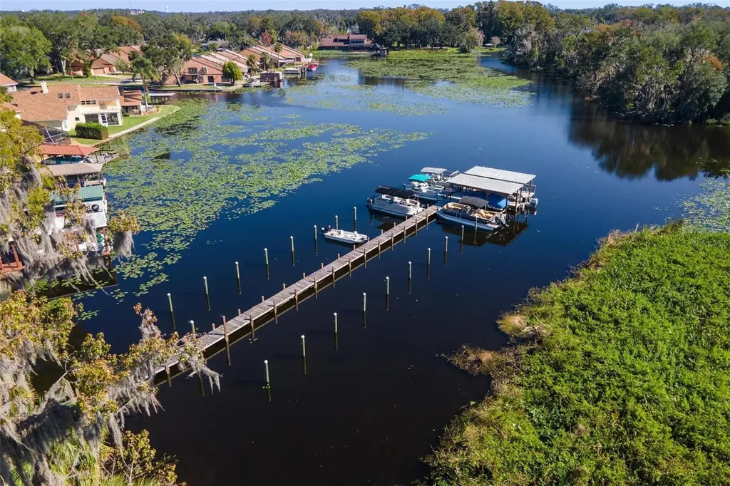 944 Belle Oak Drive Leesburg FL 34748