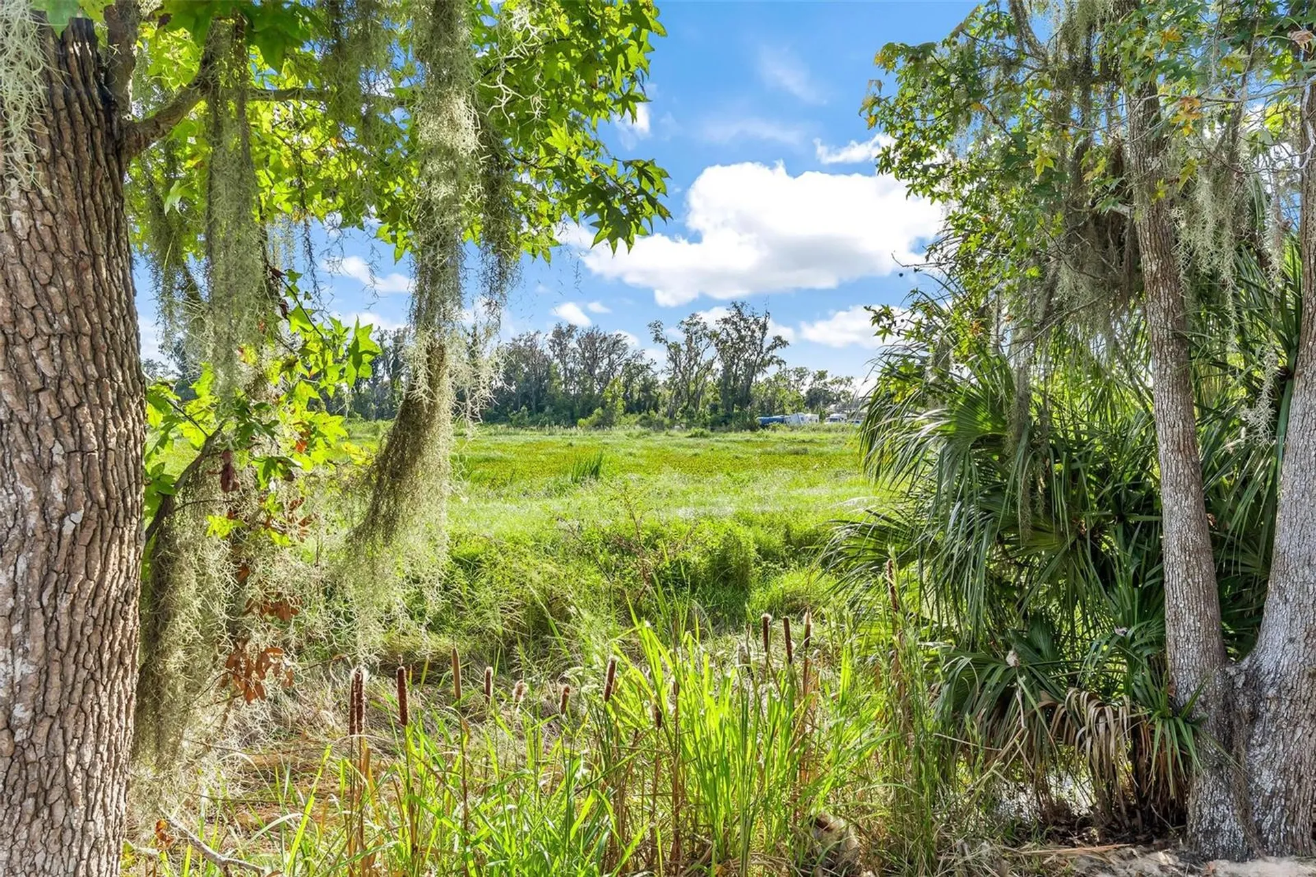 944 Belle Oak Drive Leesburg FL 34748