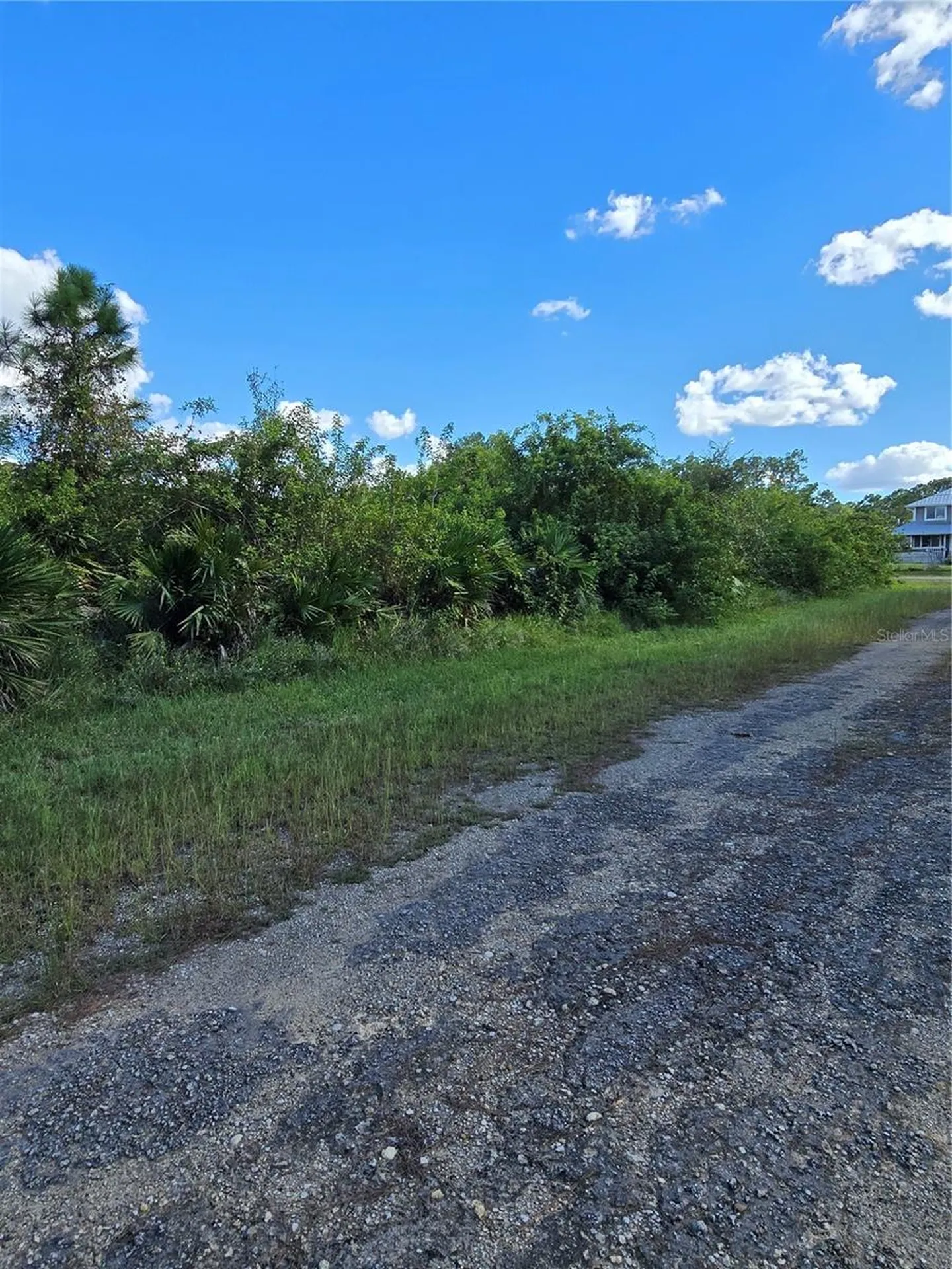 423 Wilder Avenue S Lehigh Acres FL 33974