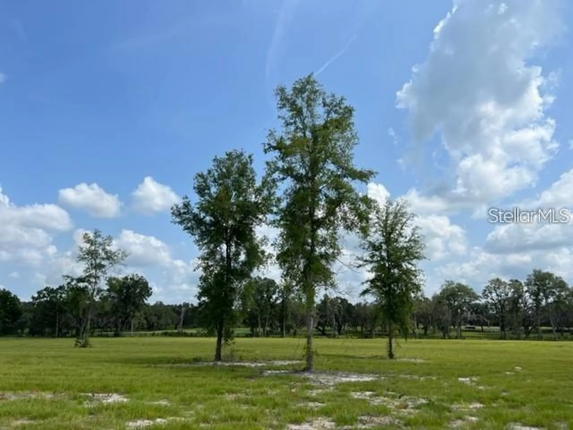 Tbd NW 14th Street Lot 5&6 Ocala FL 34482