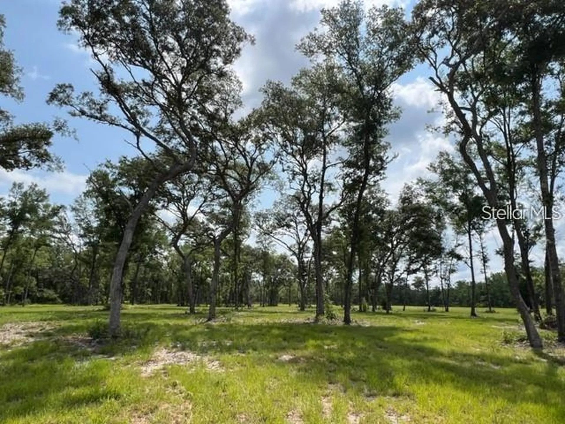 Tbd NW 14th Street Lot 5&6 Ocala FL 34482
