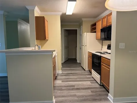 18283 Bridle Club Drive Tampa FL 33647