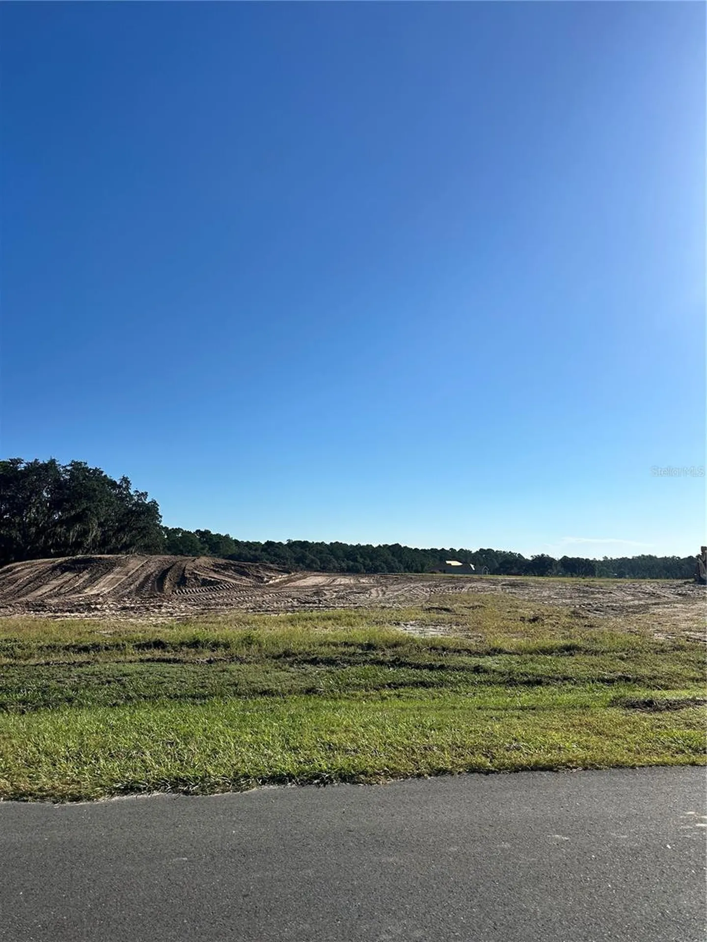 38404 Wooded Meadow Drive Umatilla FL 32784