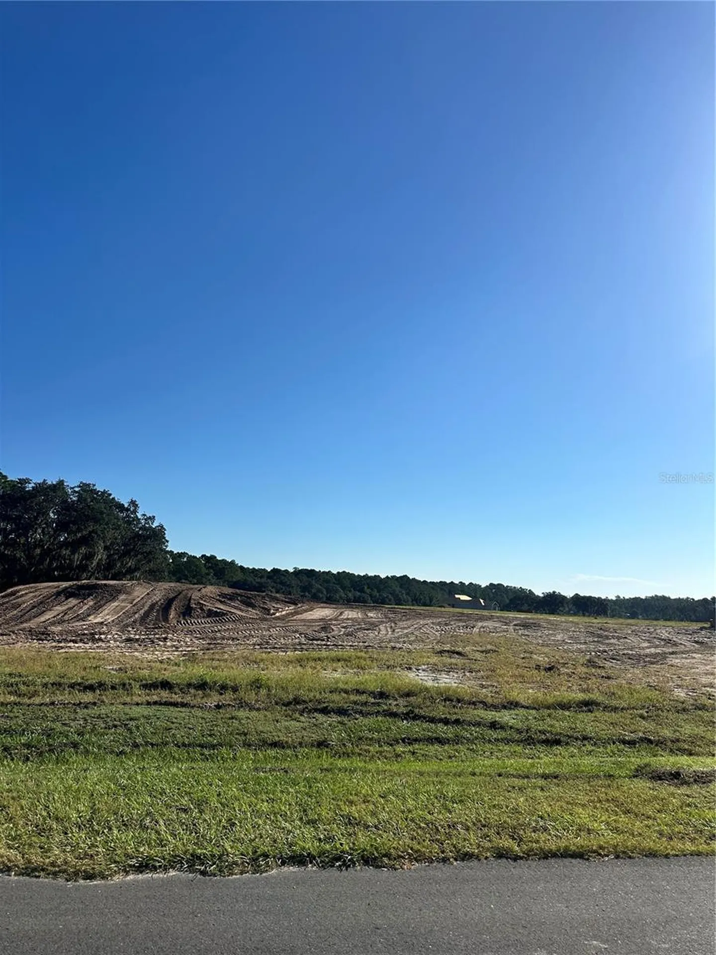 38404 Wooded Meadow Drive Umatilla FL 32784