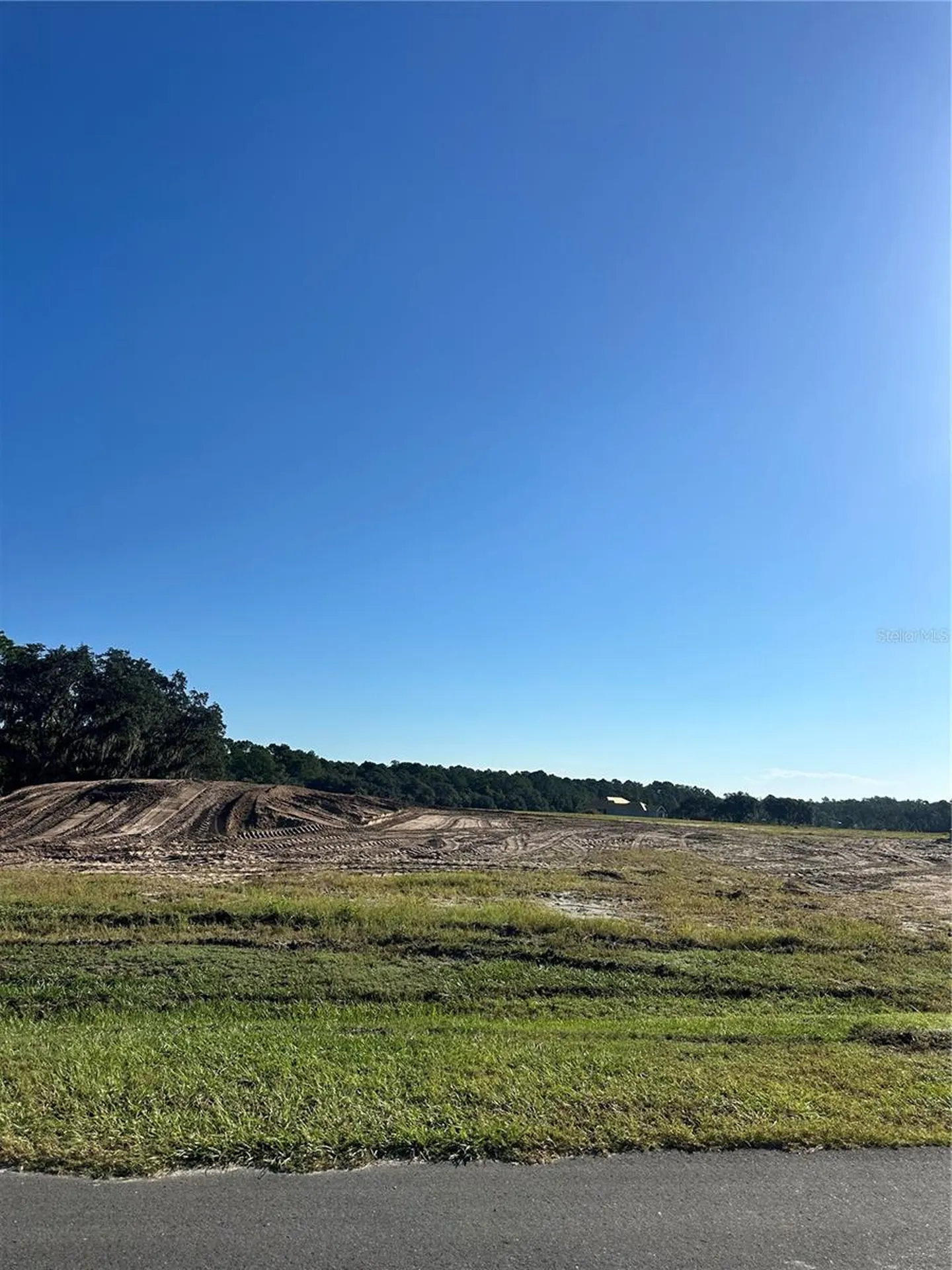 38404 Wooded Meadow Drive Umatilla FL 32784