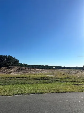 38404 Wooded Meadow Drive Umatilla FL 32784