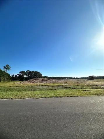 38404 Wooded Meadow Drive Umatilla FL 32784
