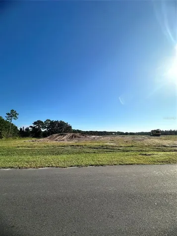 38404 Wooded Meadow Drive Umatilla FL 32784