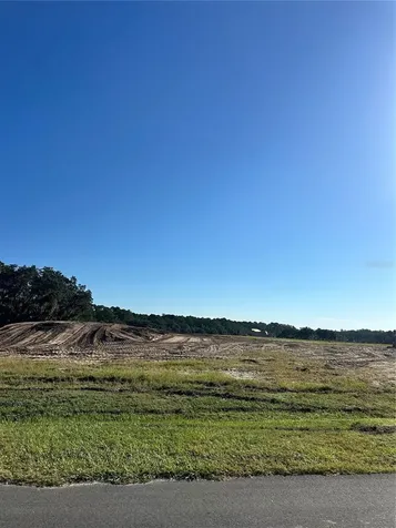38404 Wooded Meadow Drive Umatilla FL 32784