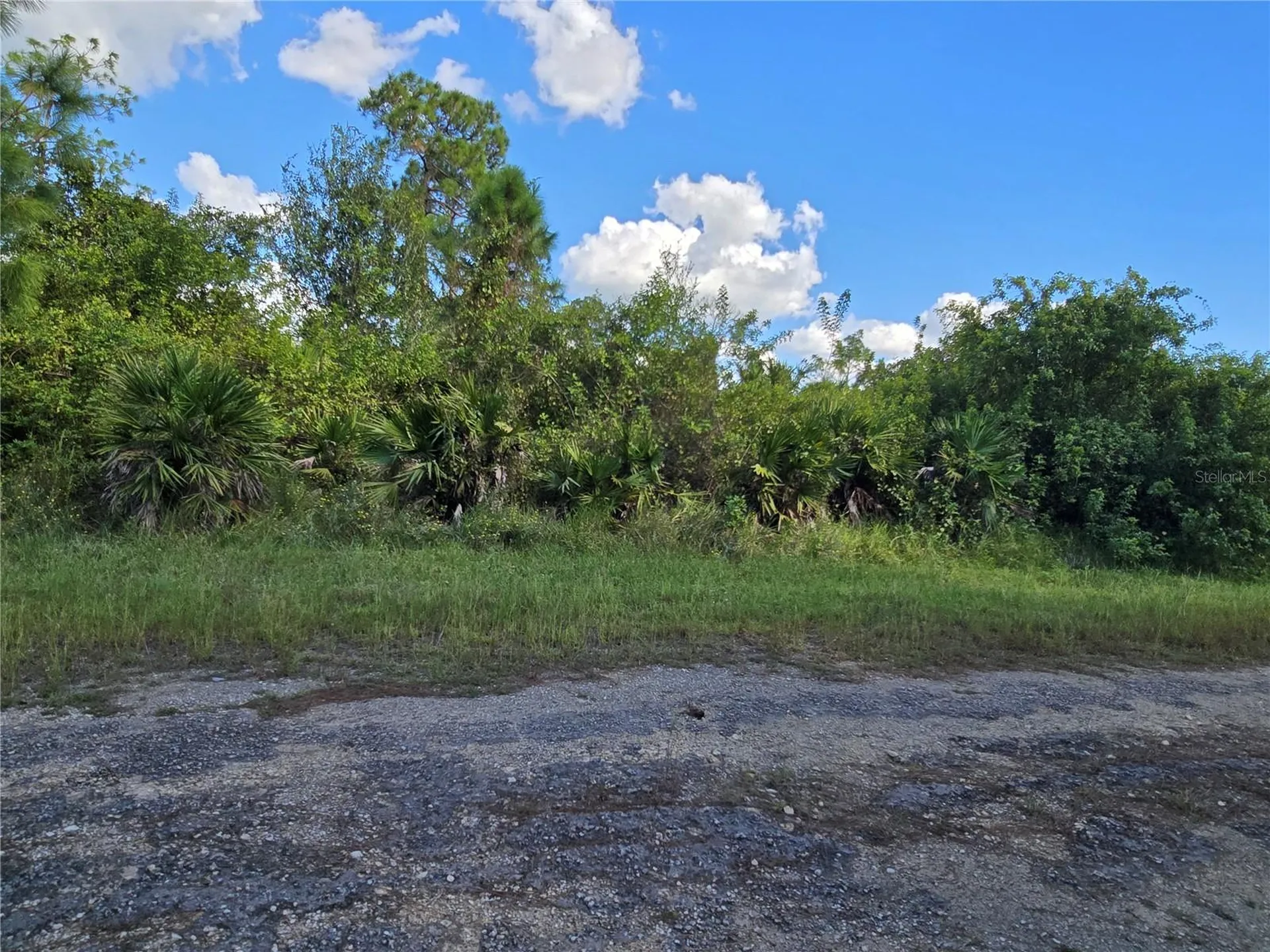 425 Wilder Avenue S Lehigh Acres FL 33974