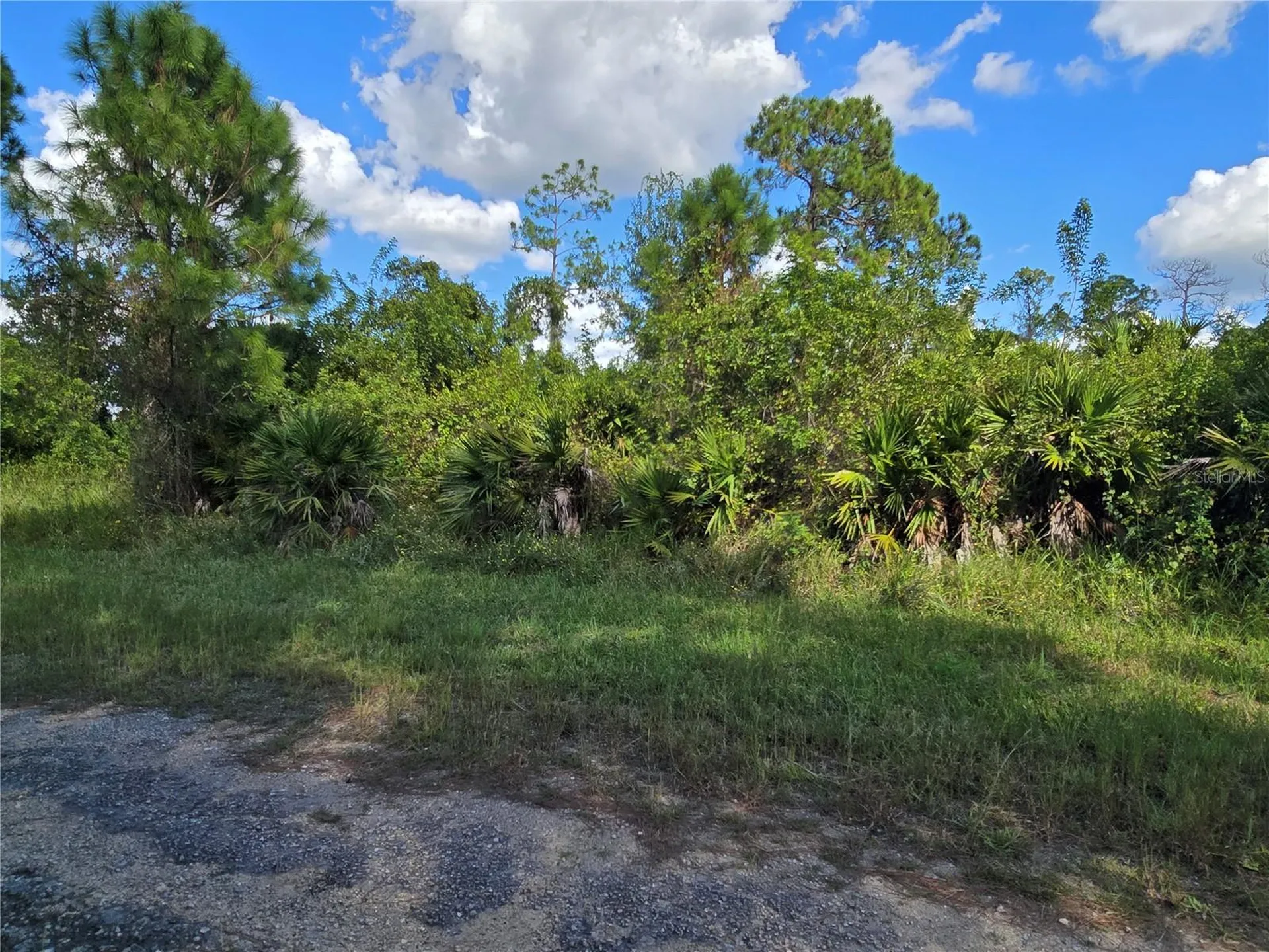 425 Wilder Avenue S Lehigh Acres FL 33974