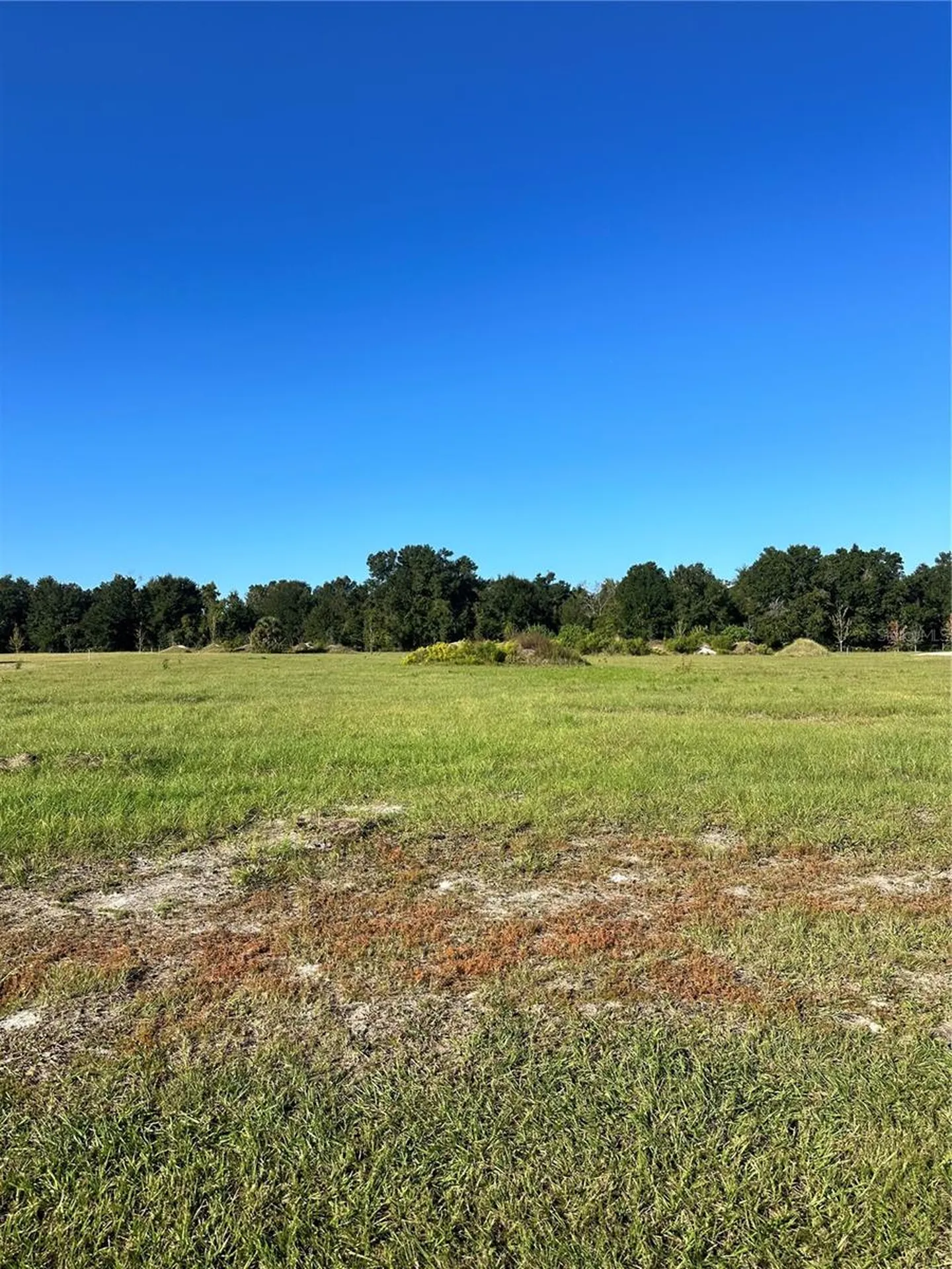 38793 Ranch Gate Boulevard Umatilla FL 32784