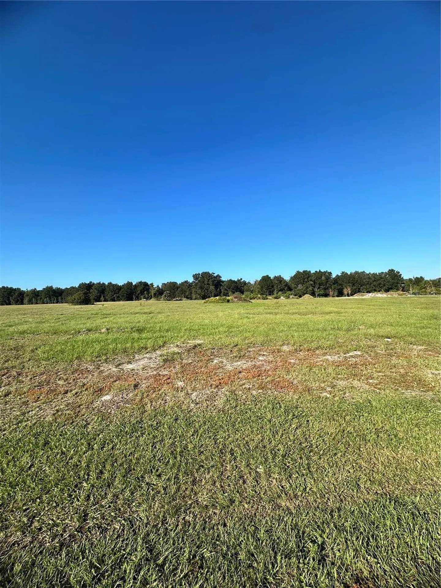 38793 Ranch Gate Boulevard Umatilla FL 32784