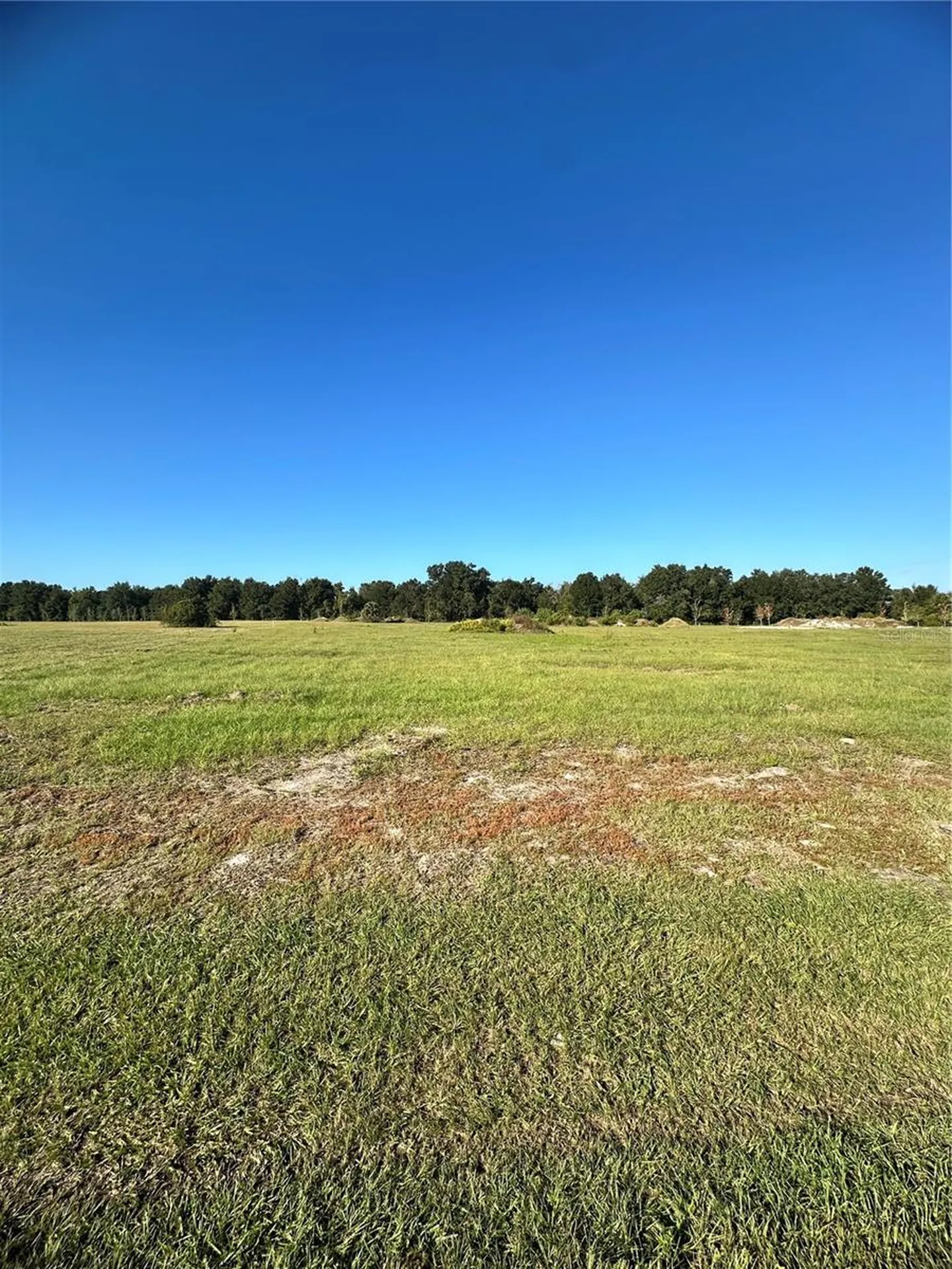 38793 Ranch Gate Boulevard Umatilla FL 32784