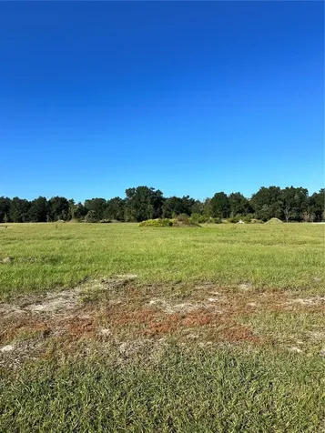 38793 Ranch Gate Boulevard Umatilla FL 32784