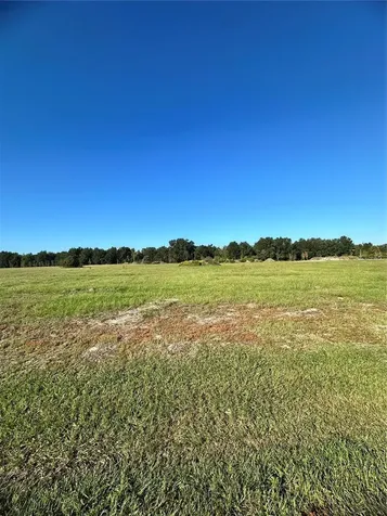 38793 Ranch Gate Boulevard Umatilla FL 32784