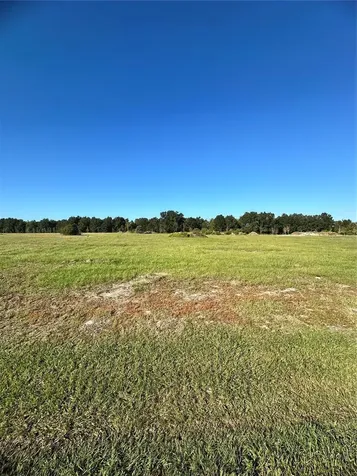 38793 Ranch Gate Boulevard Umatilla FL 32784