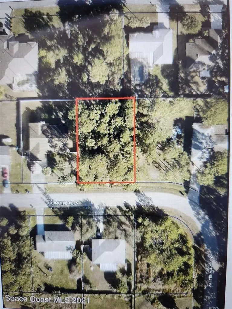 447 Trumpet Street SW Palm Bay FL 32908