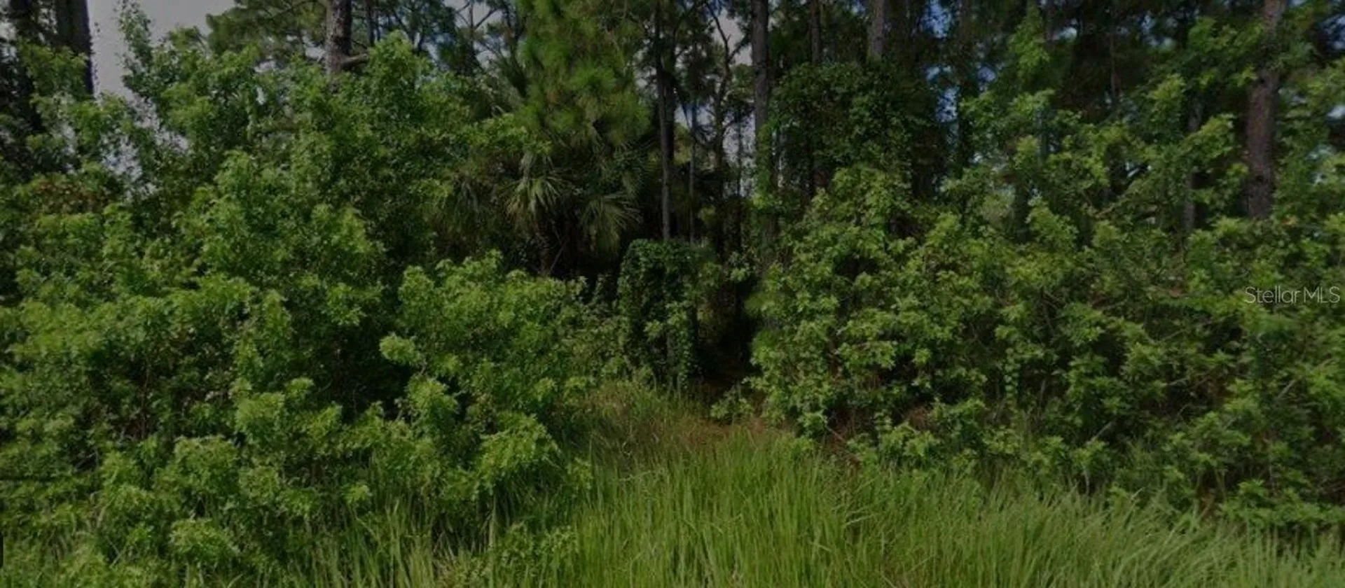 447 Trumpet Street SW Palm Bay FL 32908