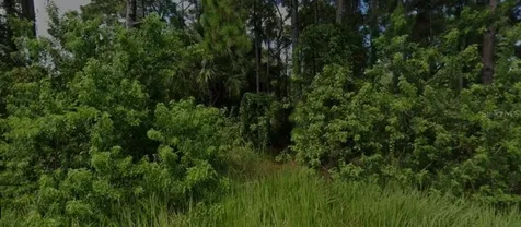 447 Trumpet Street SW Palm Bay FL 32908