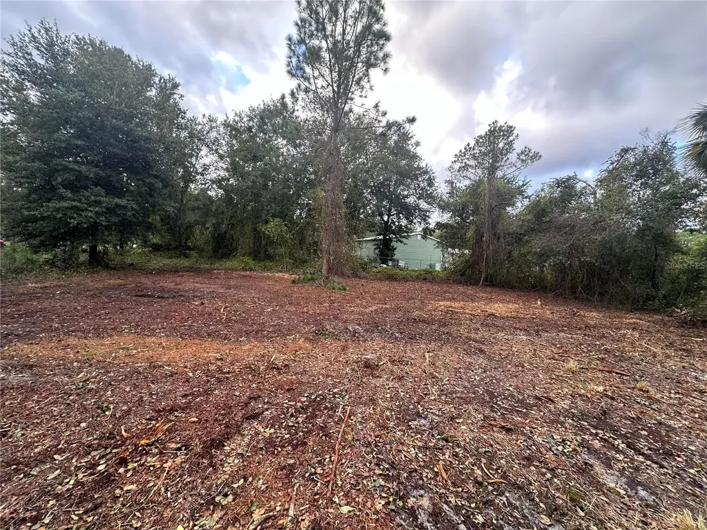 323 Carteret Road Georgetown FL 32139