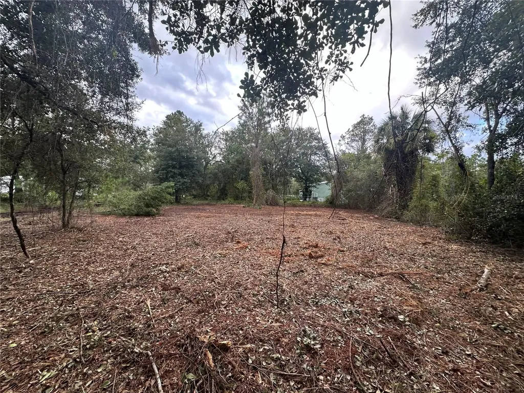 323 Carteret Road Georgetown FL 32139