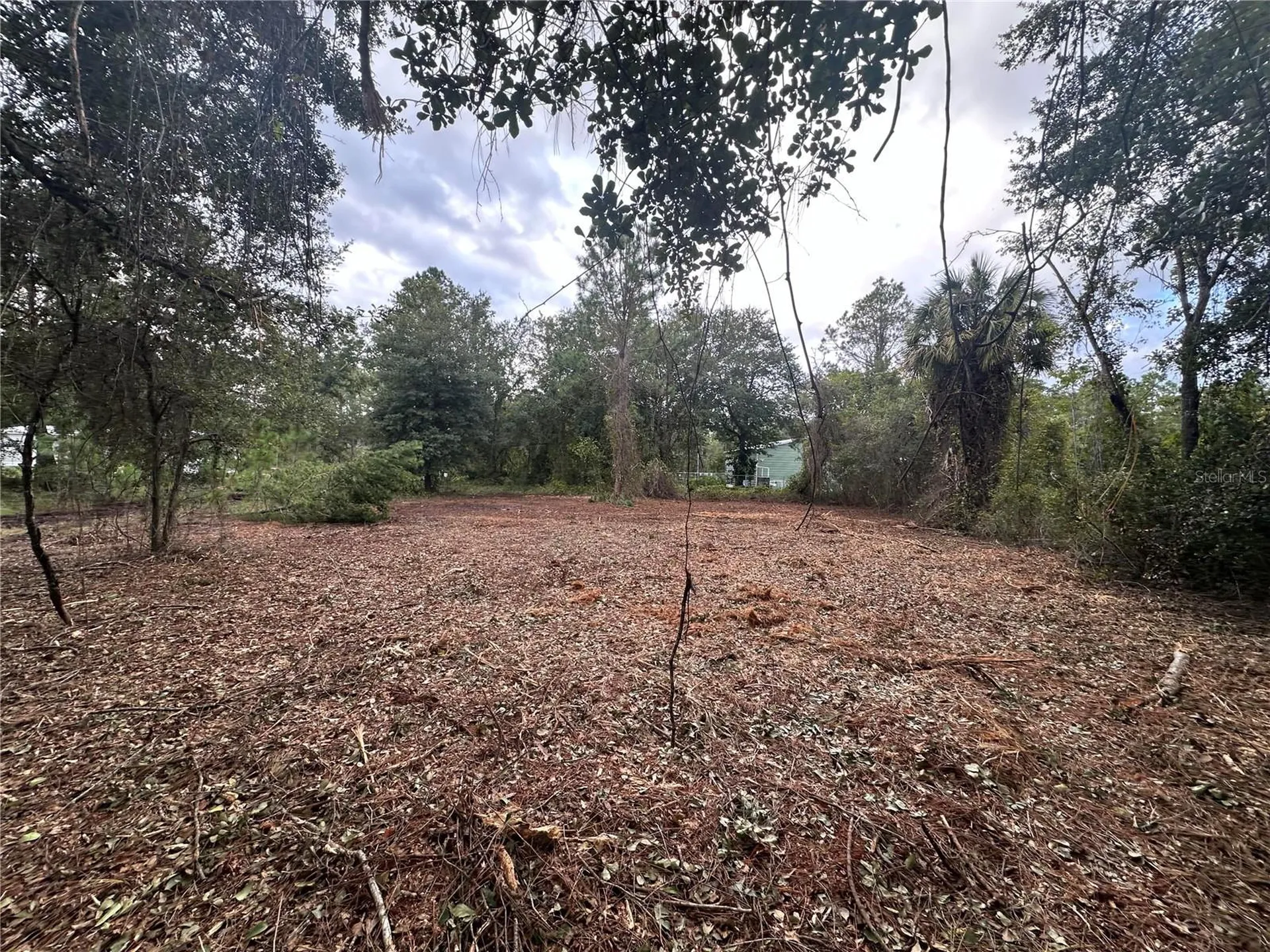 323 Carteret Road Georgetown FL 32139