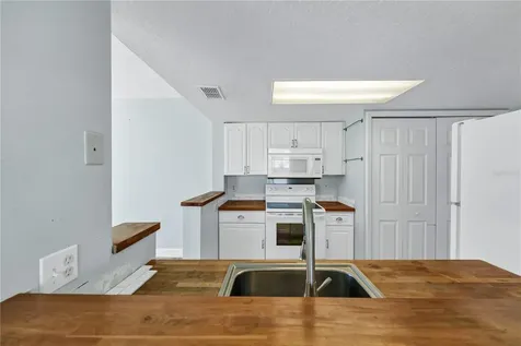 1335 Washington Palm Loop Davenport FL 33897
