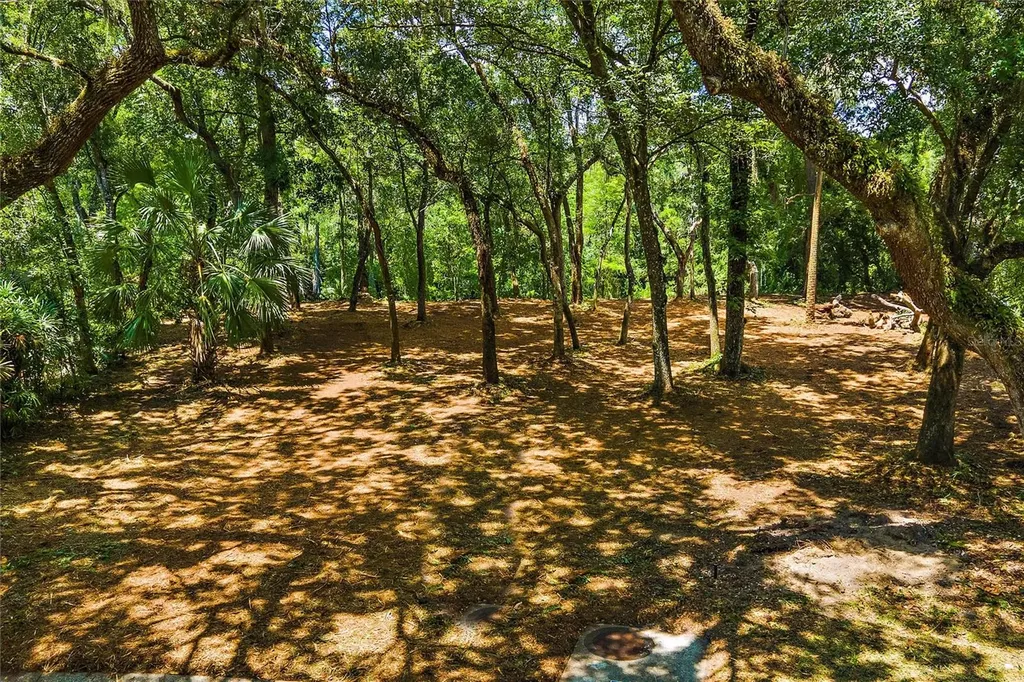 11731 Gail Drive Temple Terrace FL 33617