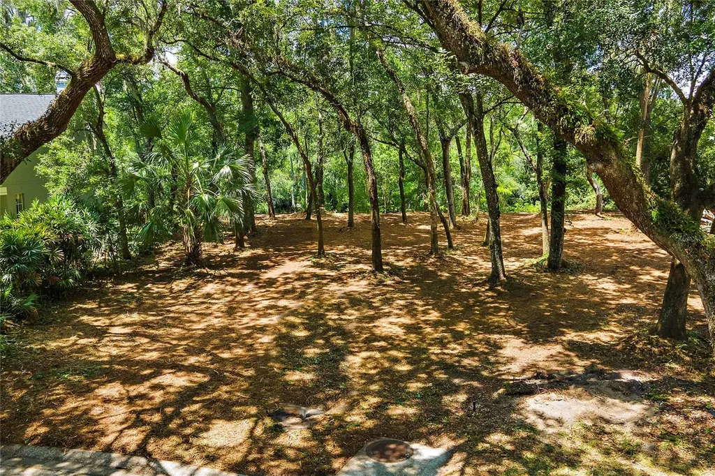11731 Gail Drive Temple Terrace FL 33617