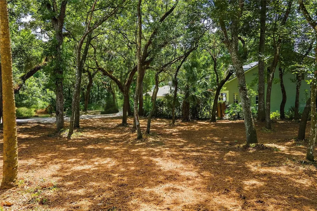 11731 Gail Drive Temple Terrace FL 33617