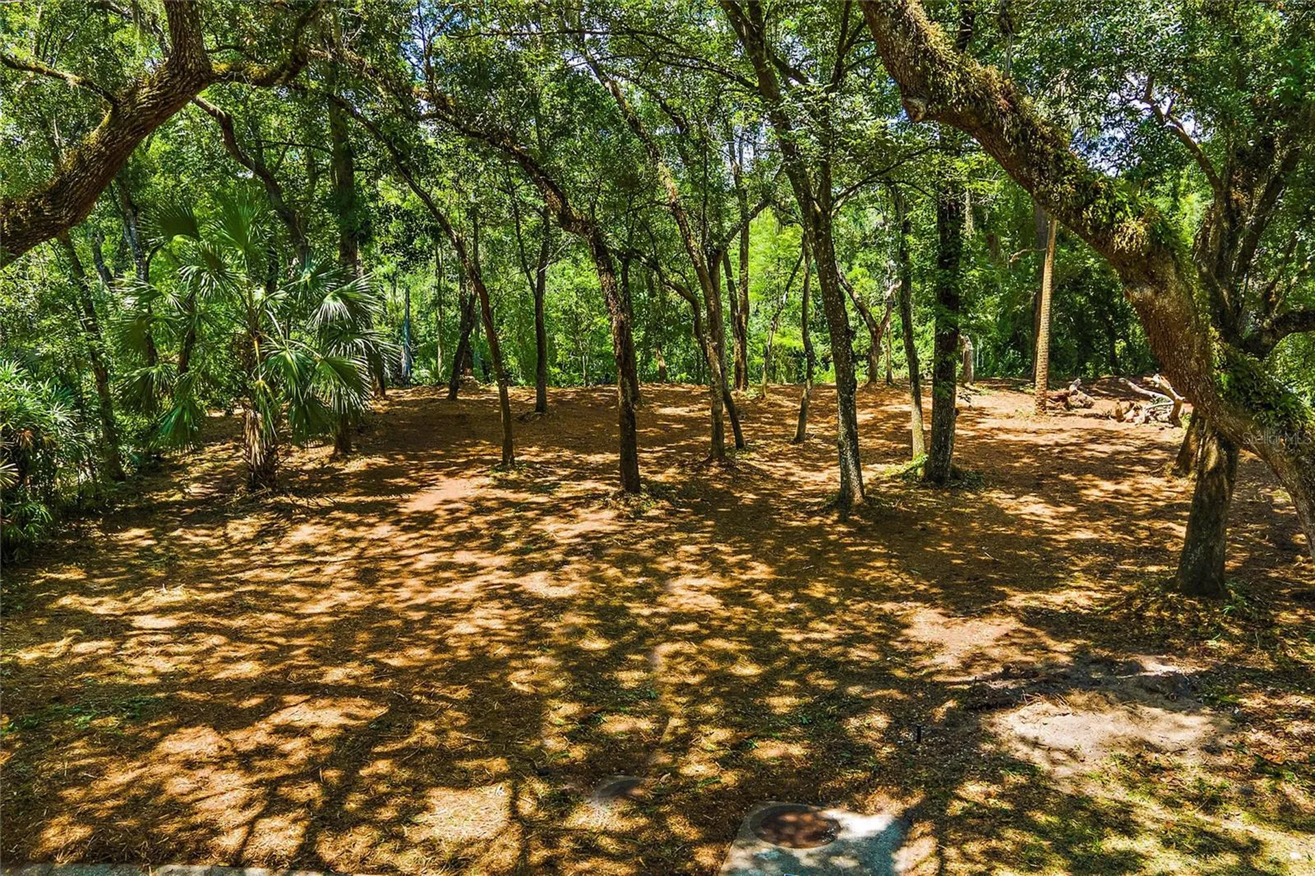 11731 Gail Drive Temple Terrace FL 33617
