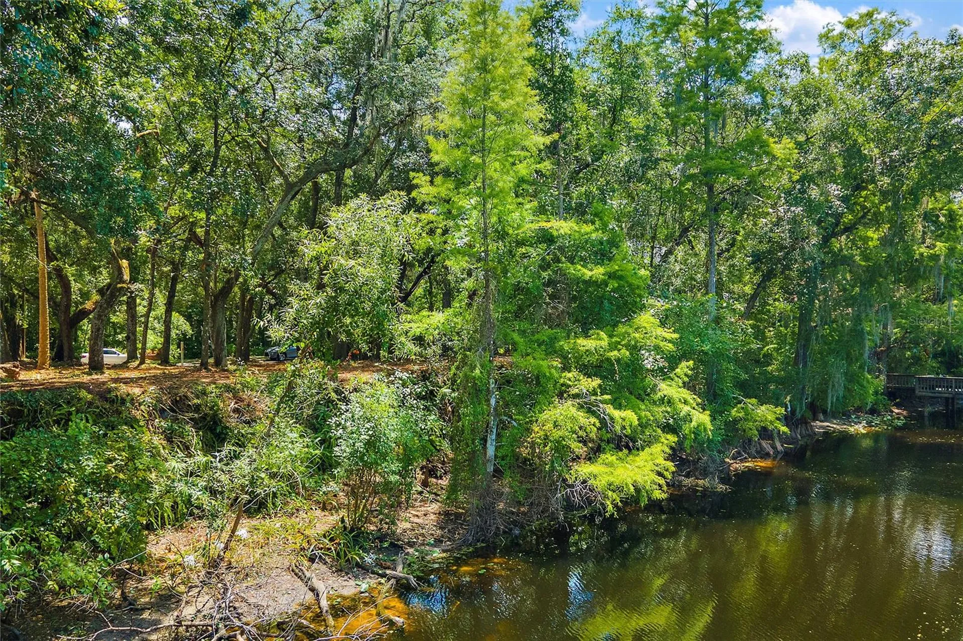 11731 Gail Drive Temple Terrace FL 33617