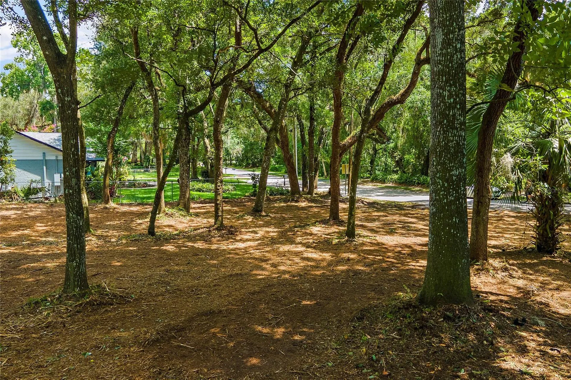11731 Gail Drive Temple Terrace FL 33617