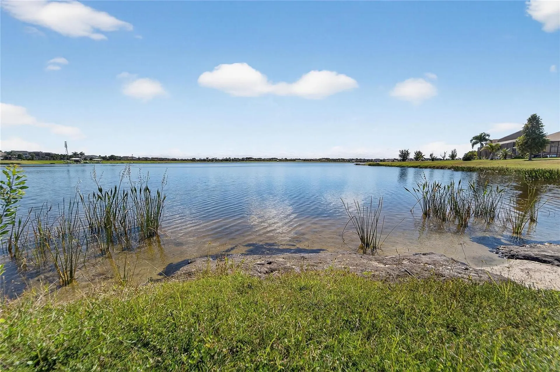 11525 Lake Lucaya Drive Riverview FL 33579