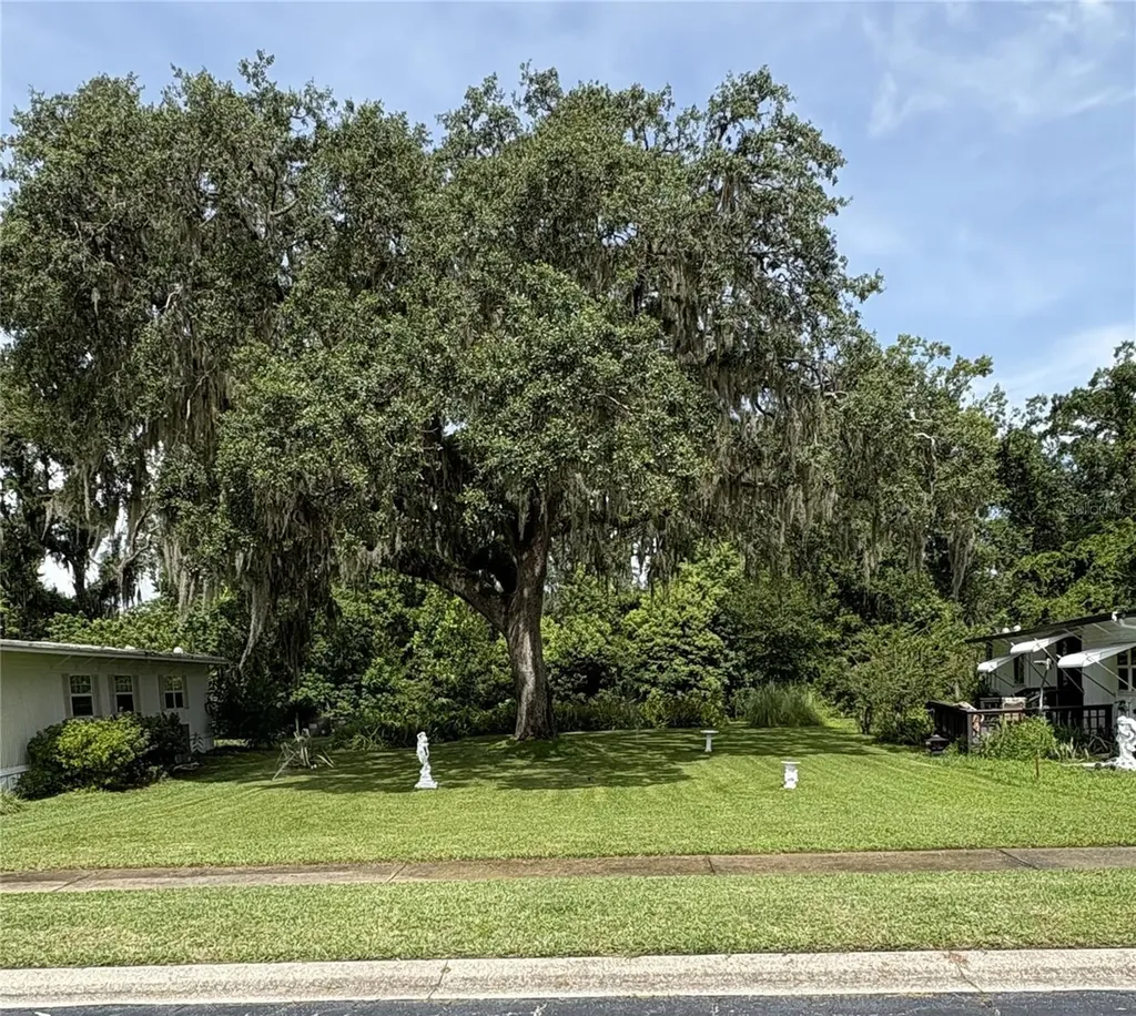 29129 Johnston Road Dade City FL 33523