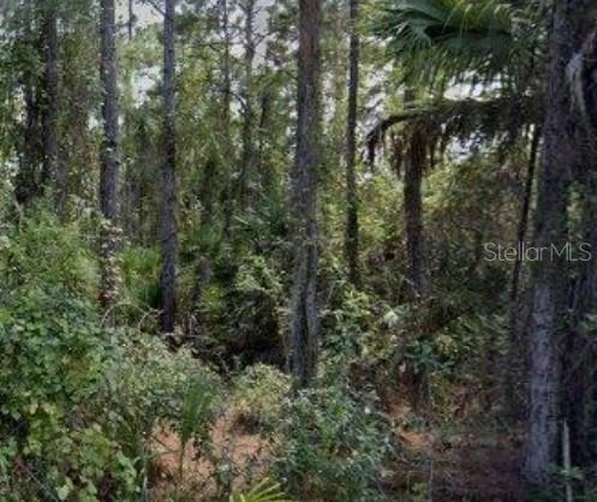 188 Tudor Road SW Palm Bay FL 32908