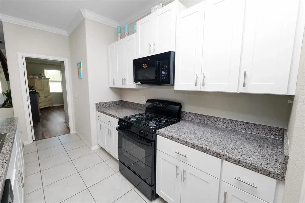 9039 Pleasant Woods Drive Land O Lakes FL 34637