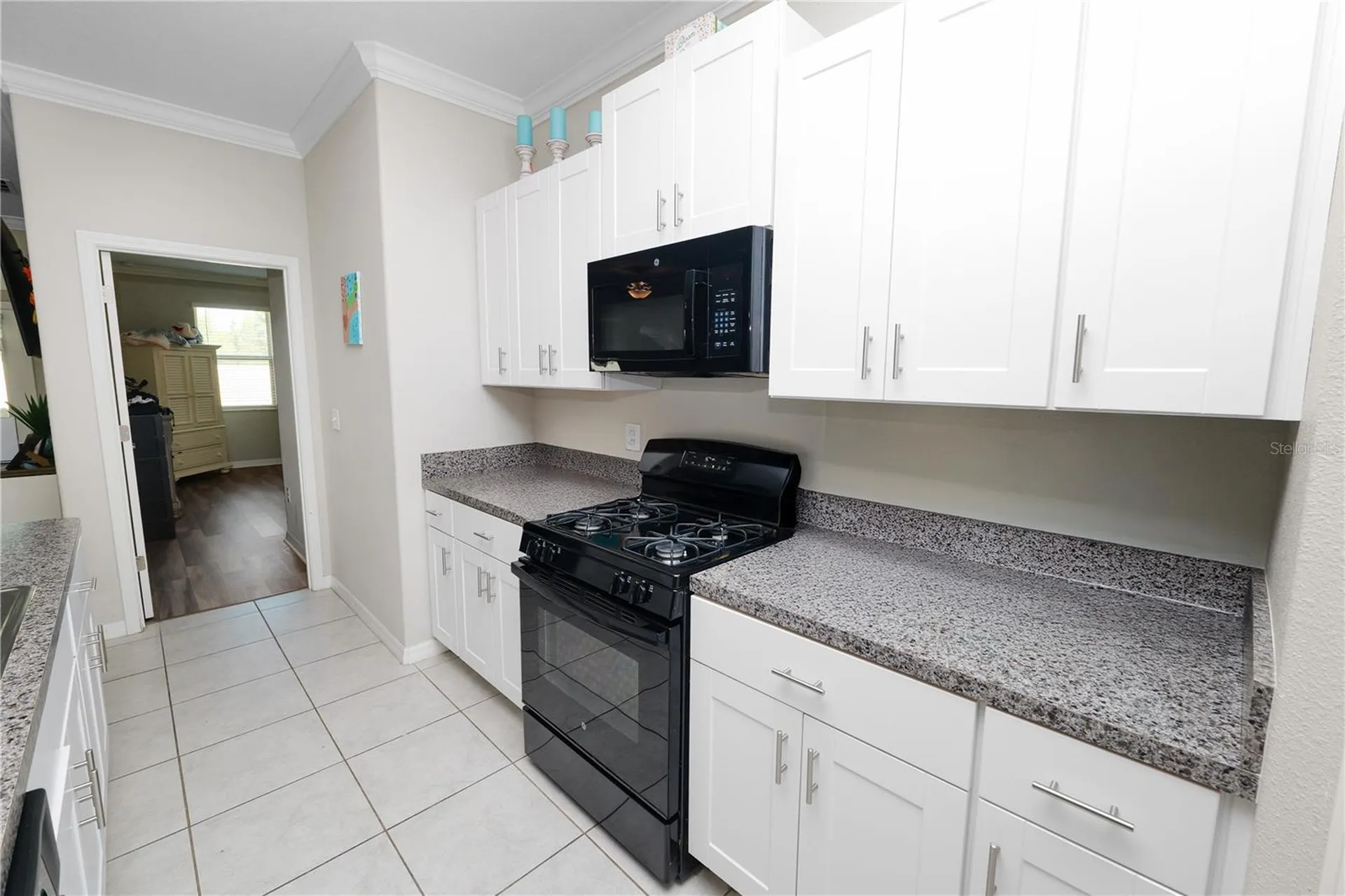 9039 Pleasant Woods Drive Land O Lakes FL 34637