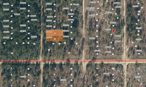 Lot 36 Paxon Interlachen FL 32148