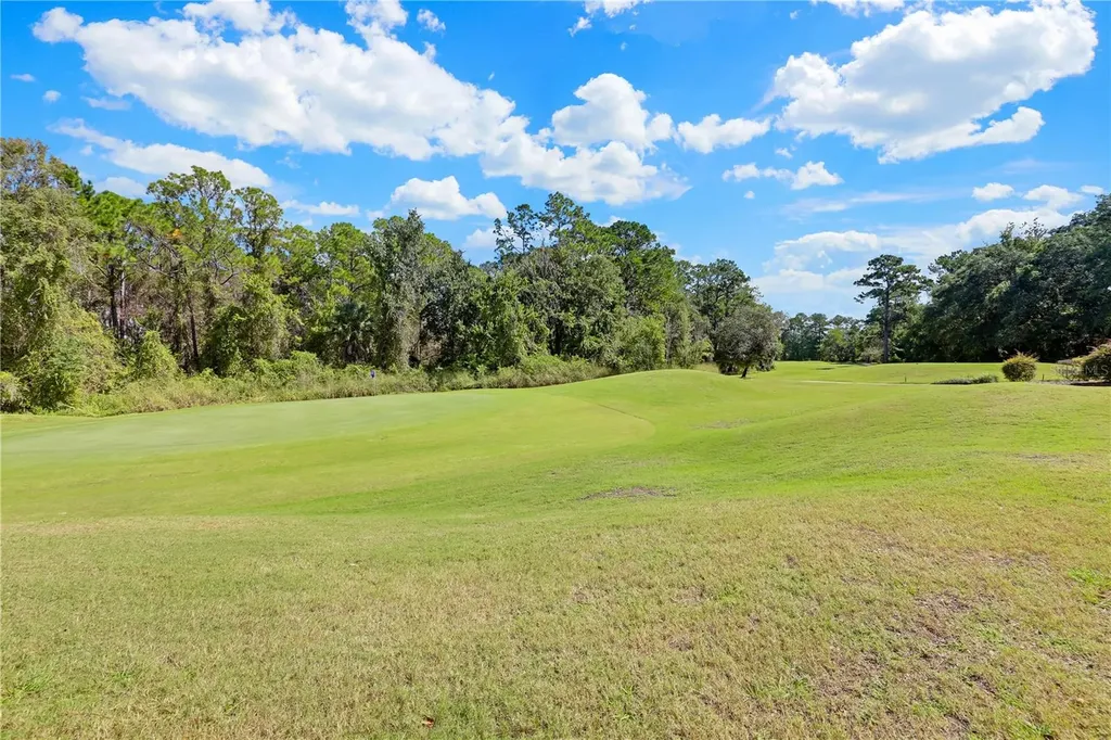 3520 Oglebay Drive Green Cove Springs FL 32043