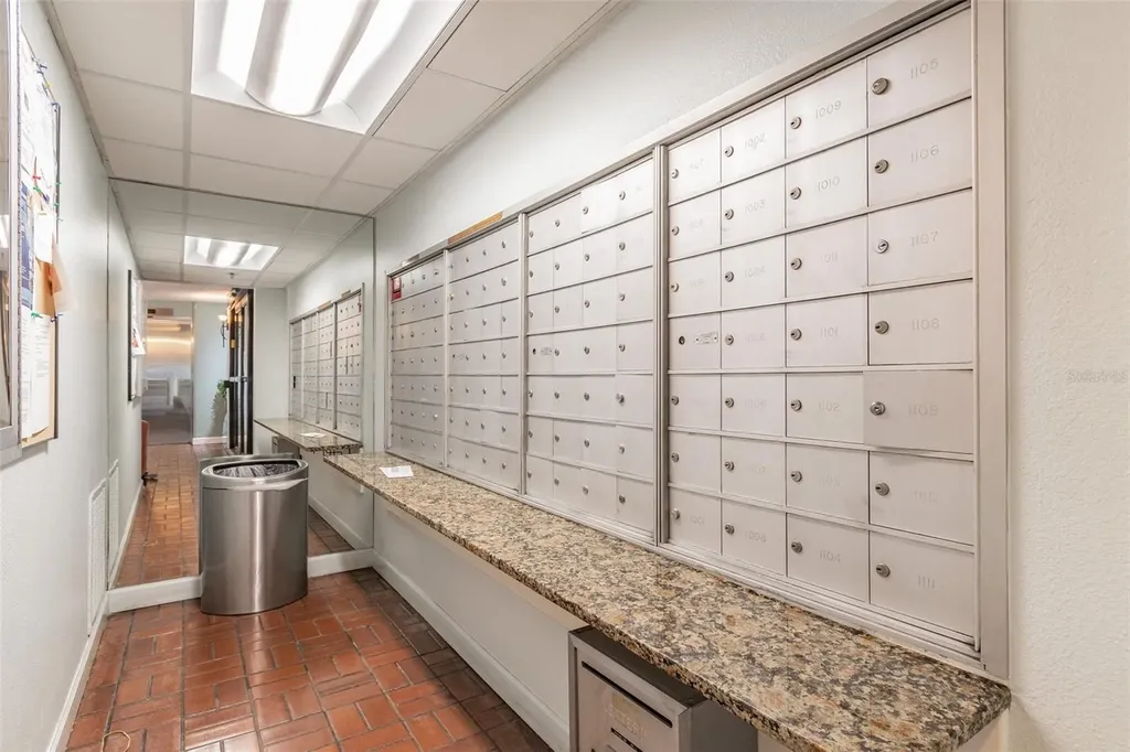 3211 W Swann Avenue Tampa FL 33609