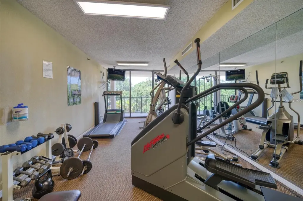 3211 W Swann Avenue Tampa FL 33609