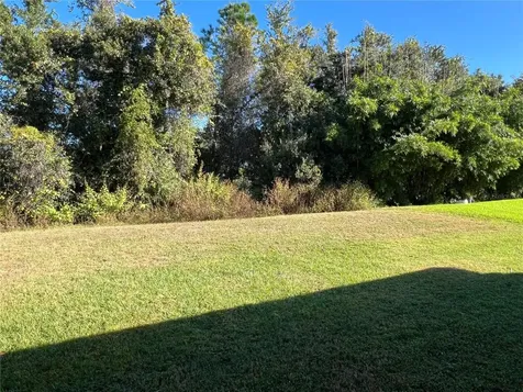 16318 Bridgelawn Avenue Lithia FL 33547