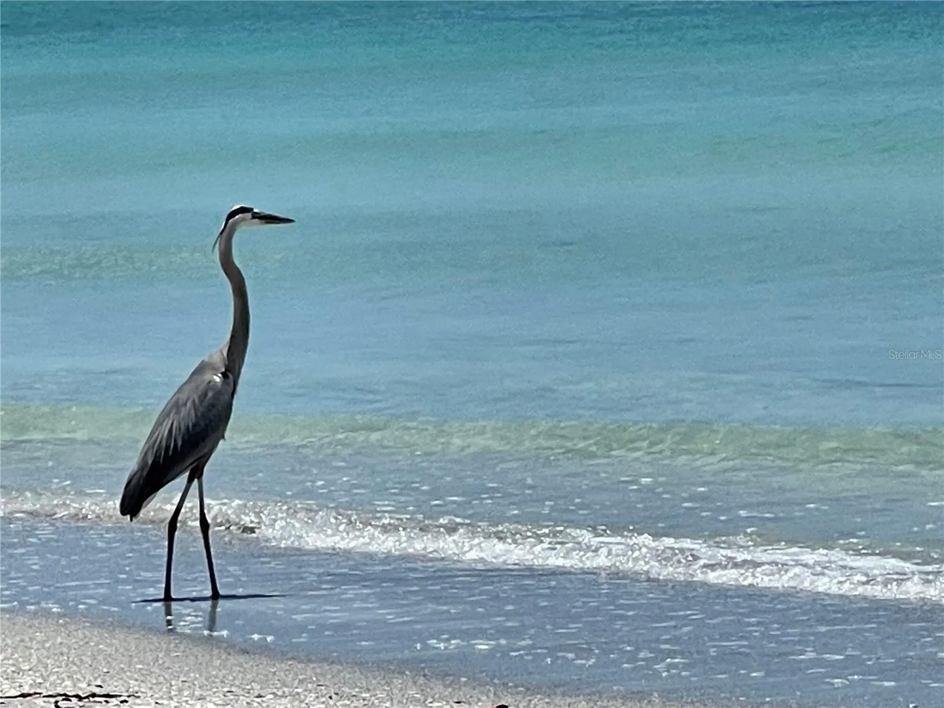 2819 Gulf Of Mexico Drive Longboat Key FL 34228